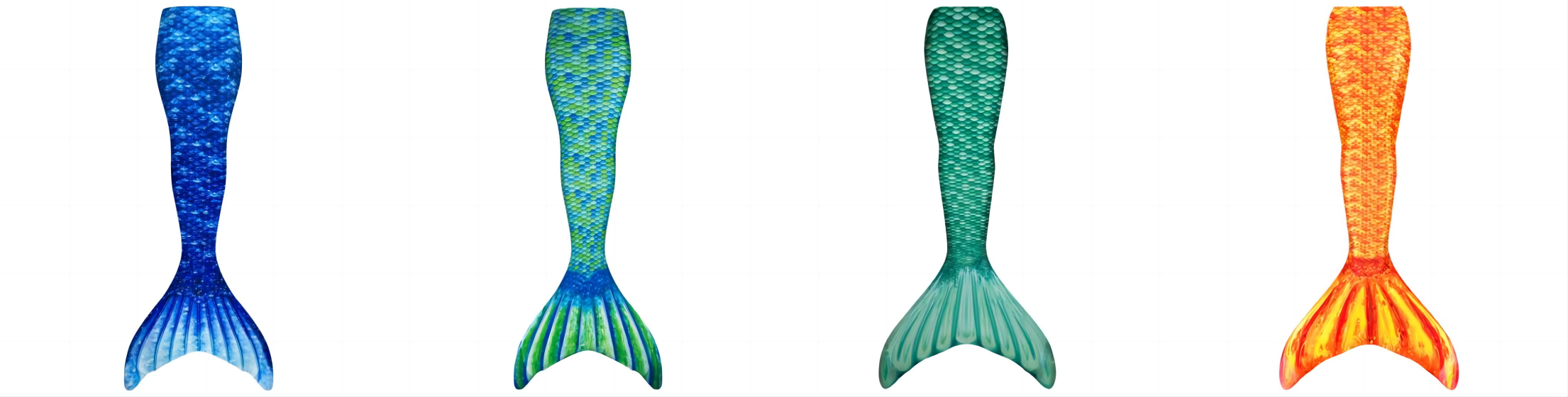fin fun - 2.png